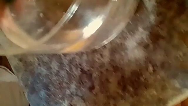 Выращиваем гомункула смотреть онлайн