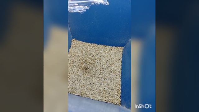 Млин дку 1.1-11 кВт 220/380 вольт смотреть онлайн