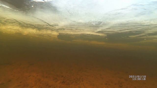 Подводное зимнее плавание смотреть онлайн