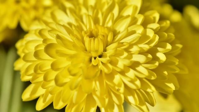 Истории из жизни. Гулящий муж. Жизненные истории. Интересные истории. Душевные истории. Аудиорасска смотреть онлайн