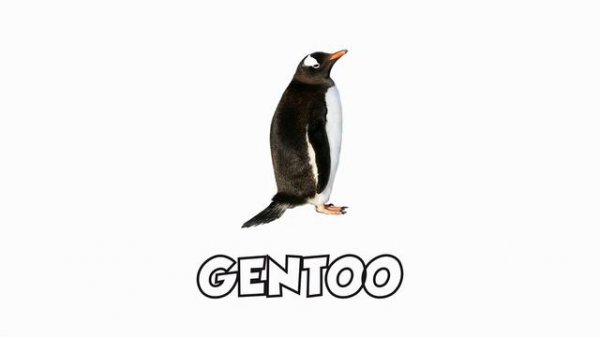 Learn Penguin Types in English! Types of Penguins! Penguin Species List ???