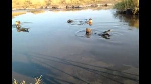 Путешествие на соленое грязевое озеро с. Якут (Куюргазинский район РБ)