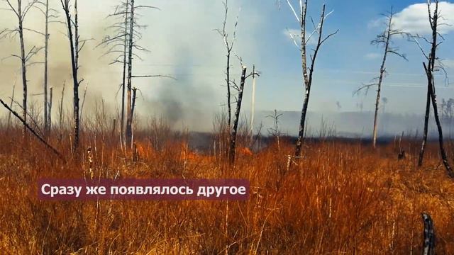 ZabNews публикует видео с пожара у села Иван-Озеро смотреть онлайн