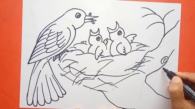 Easy And Simple Bird With Nest Drawing