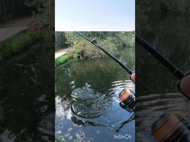 Щука на ультралайт #микроджиг смотреть онлайн