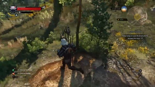 The Witcher 3: Wild Hunt SHOCK THERAPY keep trying to scare the druid until he recover his voice смотреть онлайн