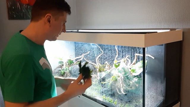 Посадка растений в аквариум (2).Травник. Запуск растительного аквариума Juwel 450л. с нуля. Часть 8 смотреть онлайн