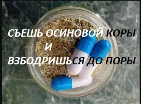 Осина обыкновенная, или необыкновенное лекарство от простатита, язвы, описторхоза и по. смотреть онлайн