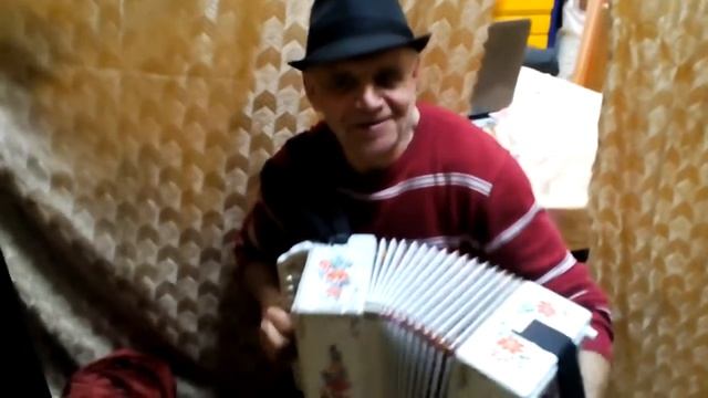 Петрович на миди смотреть онлайн