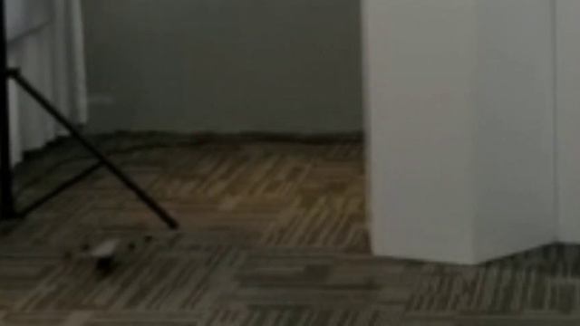 THIS DRONE CRASHES ON ITS OWN LIVE PRESENTATION (Hubsan Zino mini Pro) #FAIL смотреть онлайн