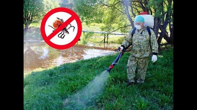 ООО "Дездело": уничтожение вредных насекомых и грызунов в Боровичах и районе смотреть онлайн