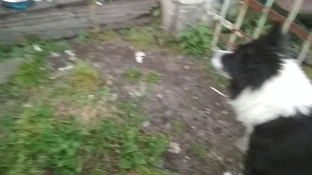 VID_20230917_182743.mp4 смотреть онлайн