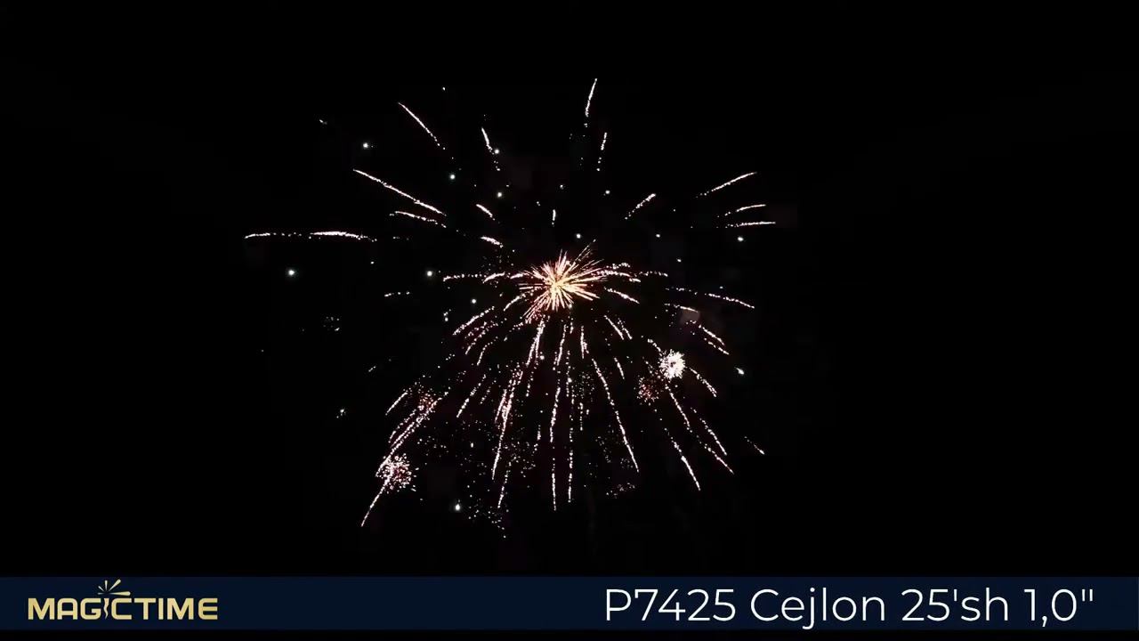 P7425 Cejlon смотреть онлайн