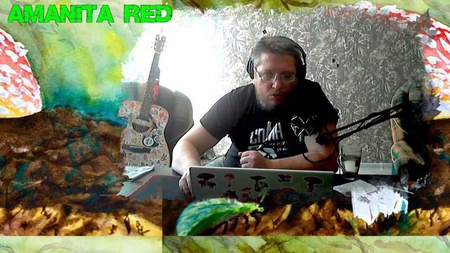 Мордовский Звукач настраивает Изотоп Нектар (Izotope Nectar 3) смотреть онлайн