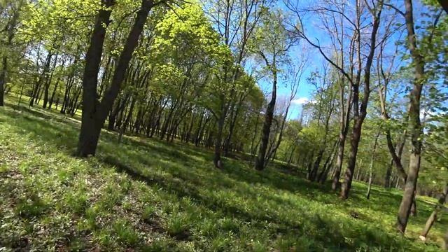 КУЛИКОВО ПОЛЕ || БОГОРОДИЦК || КОНДУКИ ИЛИ РОМАНЦЕВСКИЕ ГОРЫ