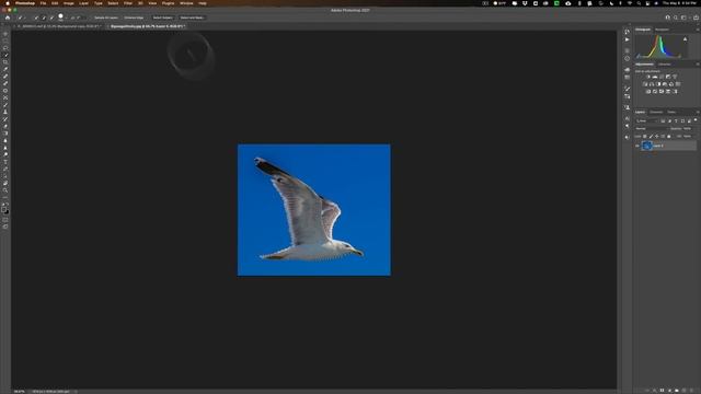 EASY Compositing in PHOTOSHOP смотреть онлайн