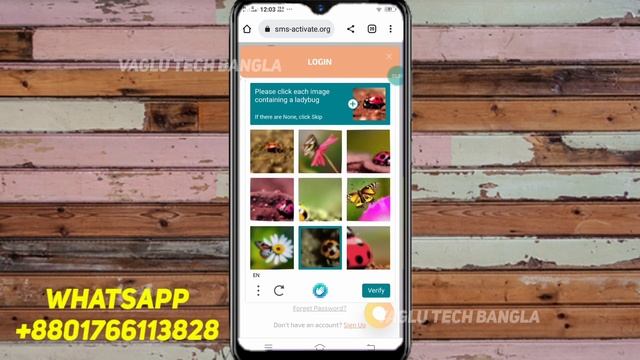 How To Top Up Rub In SMS Activate || কিভাবে SMS Activate এ rub লোড করবেন || Vaglu Tech Bangla смотреть онлайн