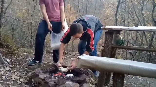 Жарим шашлыки в лесу////////////////// смотреть онлайн