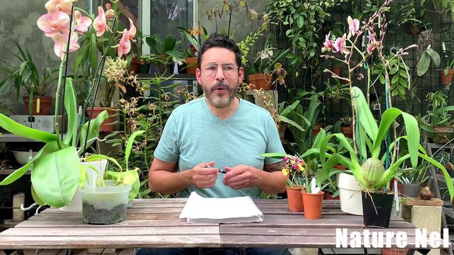 Major Haul Day! Take a trip to OFE Orchid Fest April 17, 2021. Bonus visit to local nurseries. смотреть онлайн