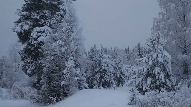 Моё видео Зимняя сказка смотреть онлайн