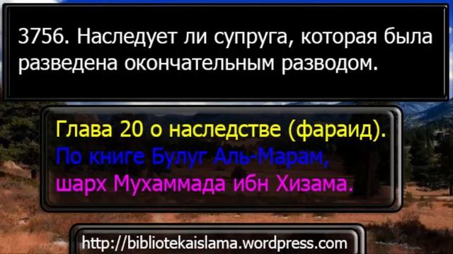 3756 Наследует ли супруга, которая была разведена окончательным разводом смотреть онлайн