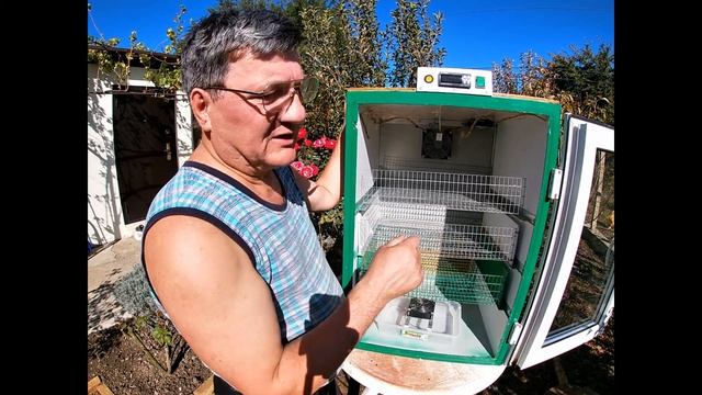 Выводной инкубатор своими руками смотреть онлайн