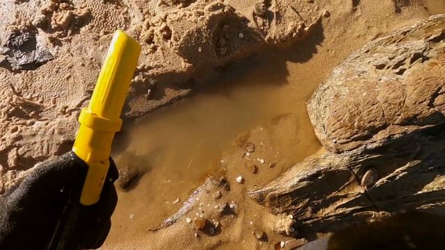 Sunset, Sand & Silver: Detectorist Date Night! (Beach Metal Detecting) смотреть онлайн