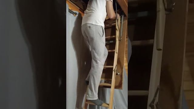 Чердачная лестница в каркасном доме #shorts смотреть онлайн