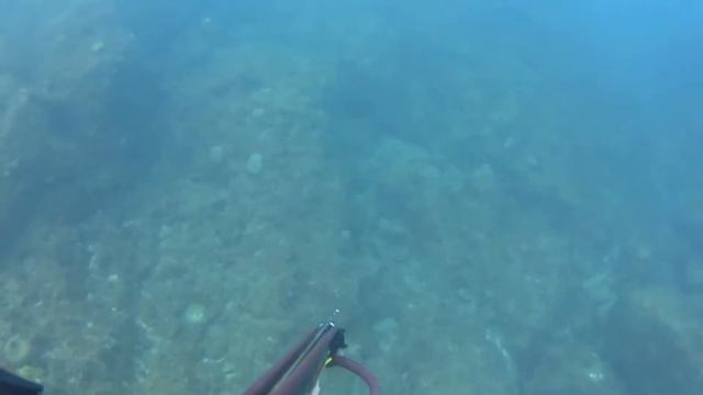 Подводная охота смотреть онлайн