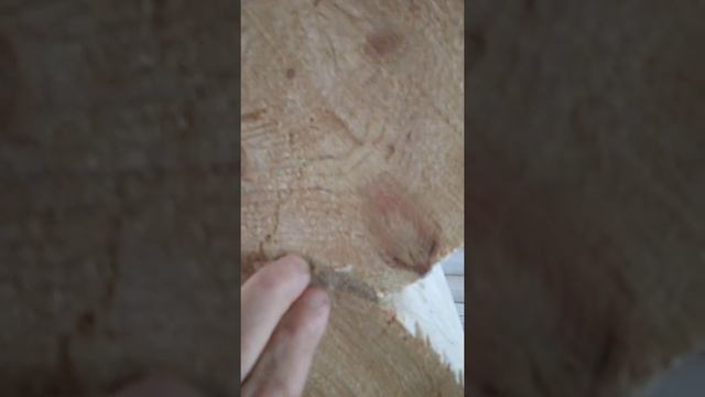 конопатка в Иваново 89012859020 смотреть онлайн