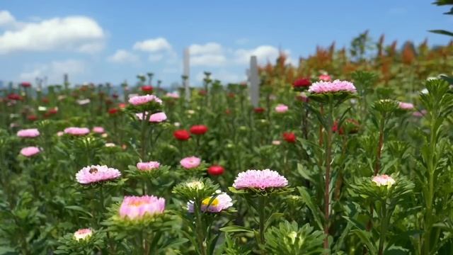 6 апреля - Кармический день. Протрите входную дверь | Лунный Календарь смотреть онлайн