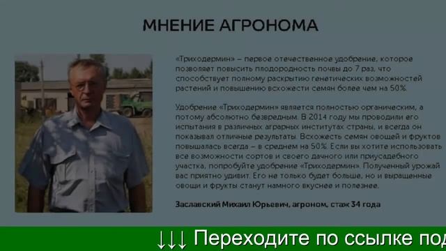 Триходермин Инструкция По Применению Отзывы Цена