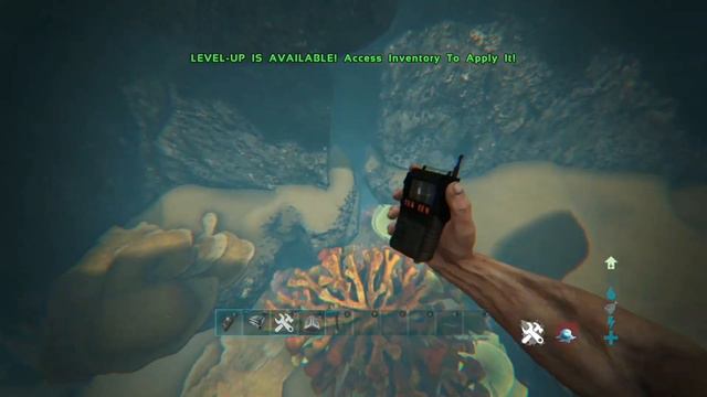 Top 5 Underwater Ratholes On Lost Island (Ark) смотреть онлайн