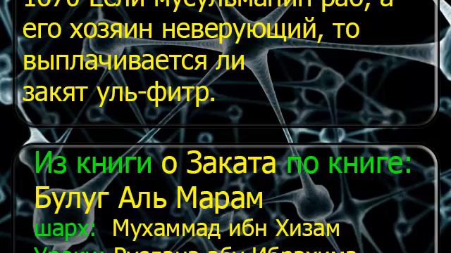 1670 Если мусульманин раб, а его хозяин неверующий, то выплачивается ли закят уль фитр смотреть онлайн
