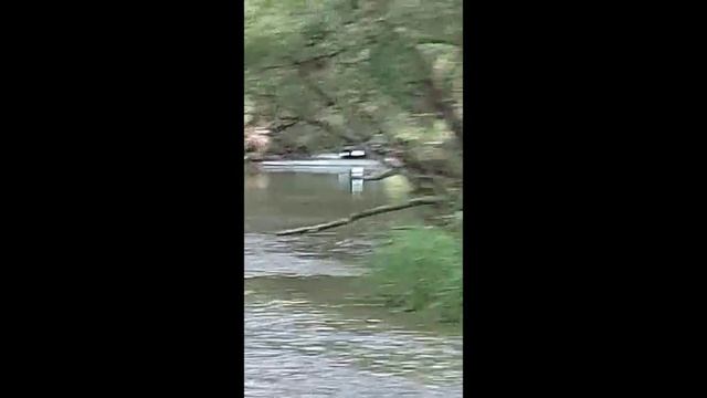 Бурный ручей (6) смотреть онлайн