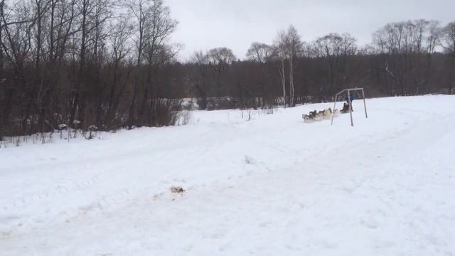 Зимний отдых в Country Resort (Вербилки) ? смотреть онлайн