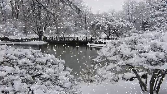 Falling Snow With Pygame смотреть онлайн