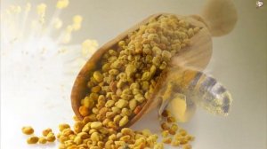 Всё о полезных свойствах цветочной пыльцы