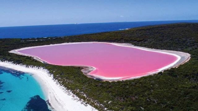 ТАЙНА РОЗОВОГО ОЗЕРА В АВСТРАЛИИ РАСКРЫТА! смотреть онлайн