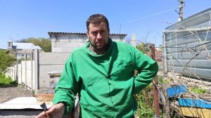 Вывод пчелиных маток на пасеке весной. Вывод маток. Проблема с матками весной 20