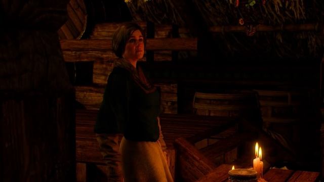 Тест Witcher 3 Wild Hunt (Geforce Nvidia GTX 960 2 gb, AMD FX-6300 3.5 ghz) смотреть онлайн