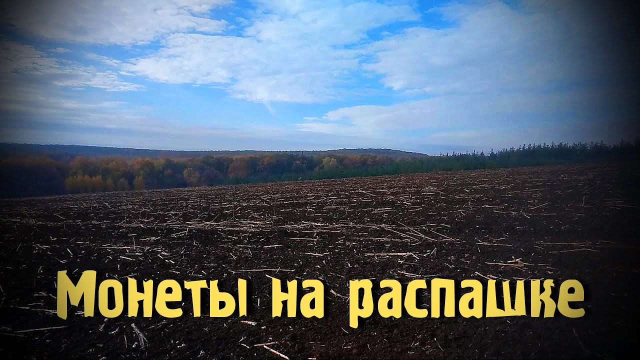 День на распашке. Монеты ещё есть. ACE250 с катушкой Mars Tiger.
