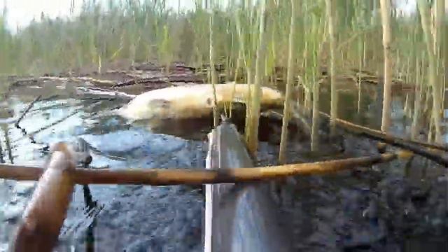 Подводная Охота Весной смотреть онлайн