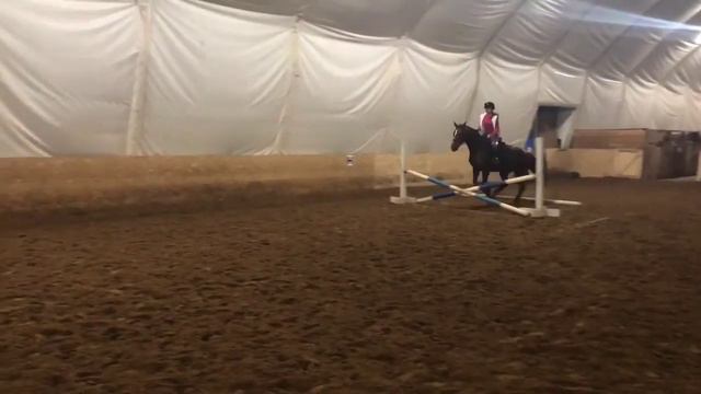 Конкурная тренировка | 110 см. смотреть онлайн