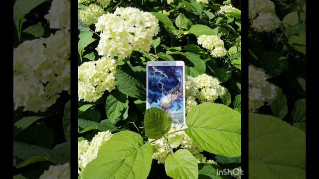 ⚡Карта дня на 11 июля 2024⚡ смотреть онлайн