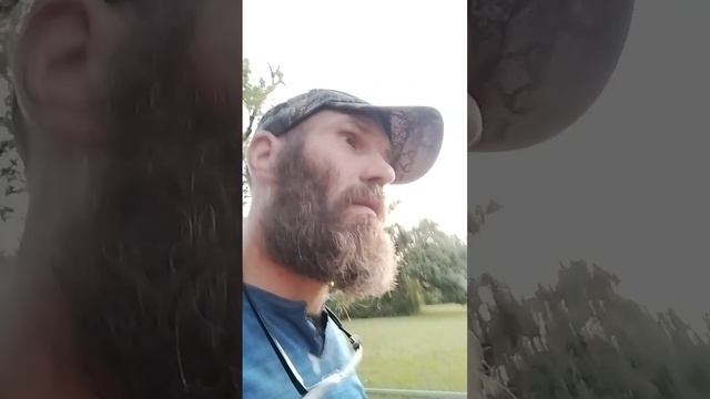 Fish City Cycle's смотреть онлайн