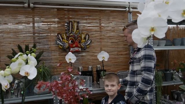 Посещение Вихмана. Германия. orchideen-wichmann смотреть онлайн