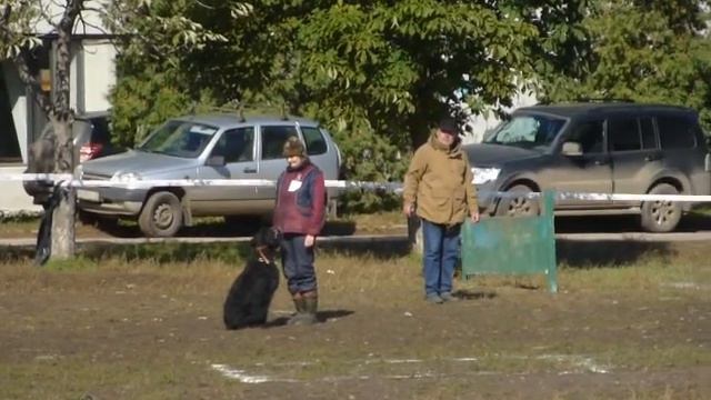 Ризеншнауцер Риччи соревнования ОКД часть1
