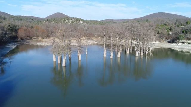 Кипарисовое озеро - кипарисы в декабре смотреть онлайн