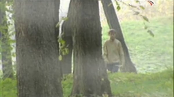 Оправдание Гоголя